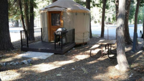 Гостиница Snowflower Camping Resort 12 ft. Yurt 9  Emigrant Gap